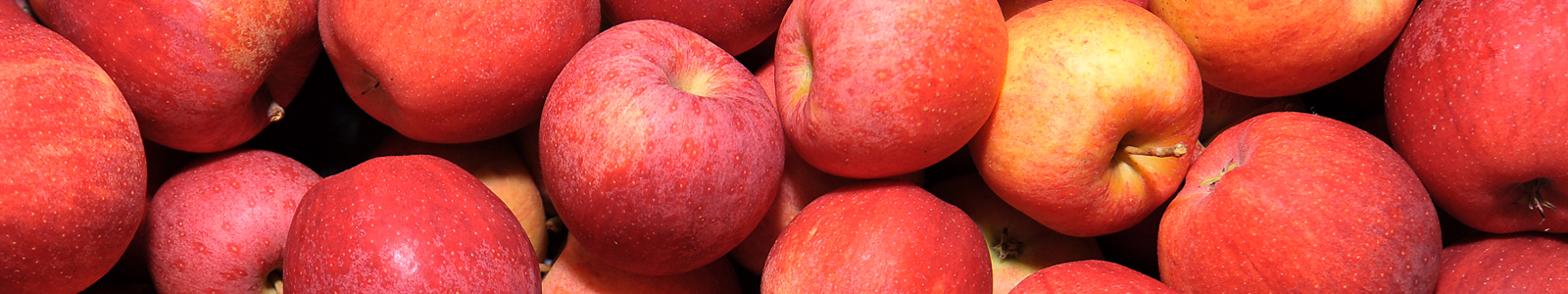 Rote Äpfel © Dienstleistungszentren Ländlicher Raum